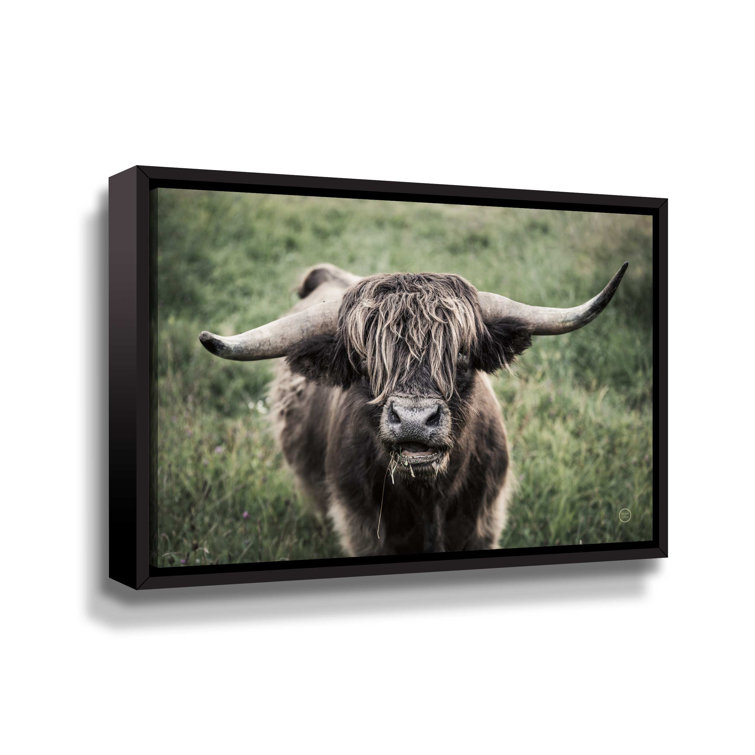 ArtWall What Framed On Canvas Print Wayfair